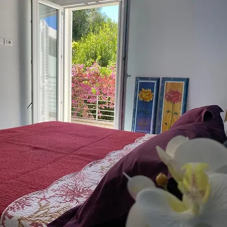 Incantevole Sulla Costa Dei Trabocchi Casa vacanze